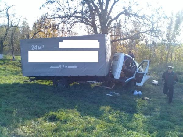 Заснувший за рулем «ГАЗели» водитель врезался в придорожное дерево на Ставрополье